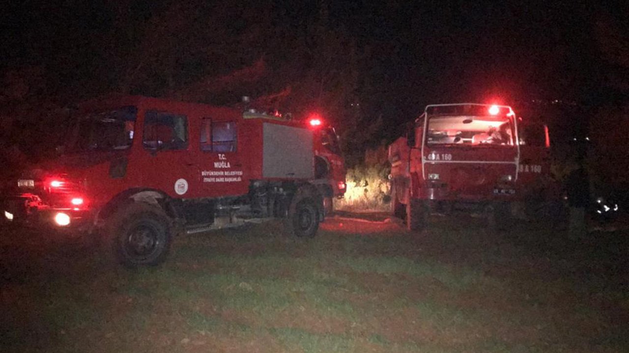 2 dönüm ormanlık alan yandı