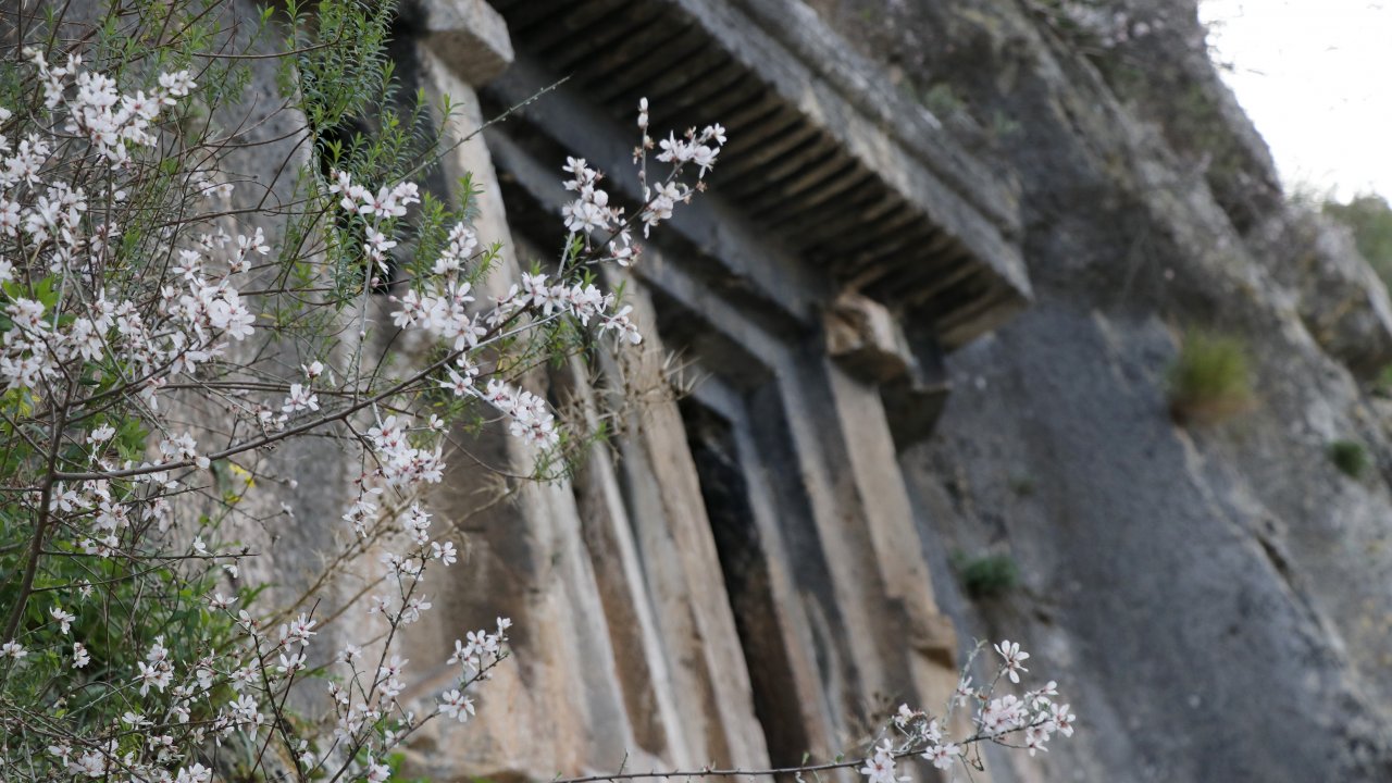 Muğla'da Ağaçlar Çiçek Açtı