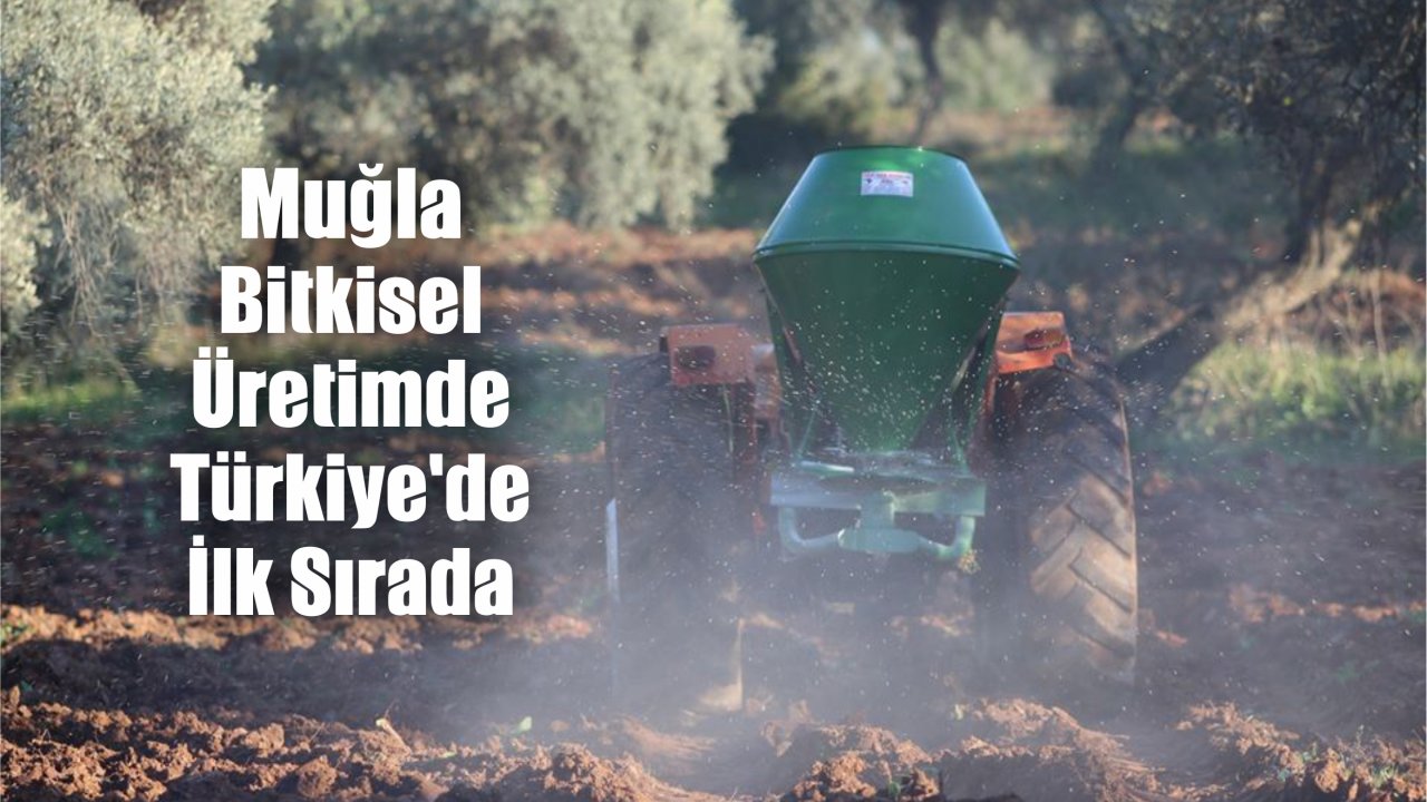 Muğla Bitkisel Üretimde Türkiye'de İlk Sırada