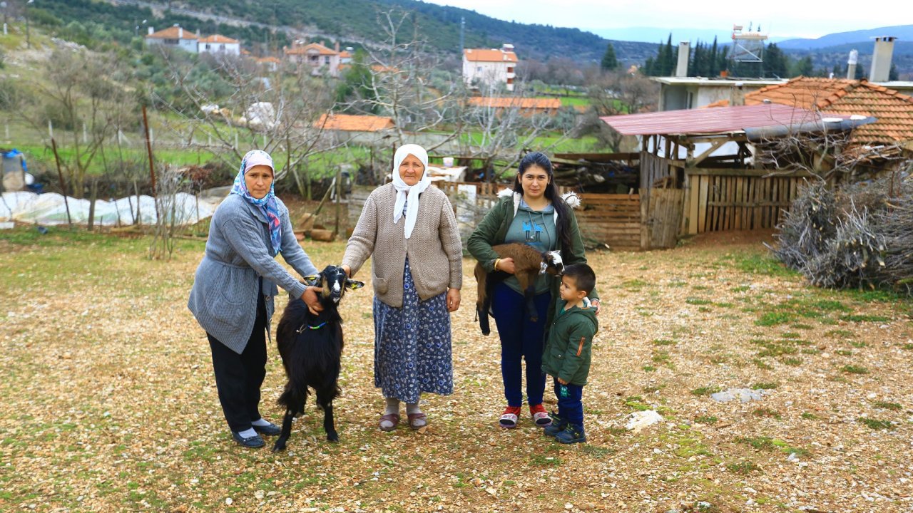 Kadınlara Kıl Keçisi Desteklemesi Meyvesini Veriyor