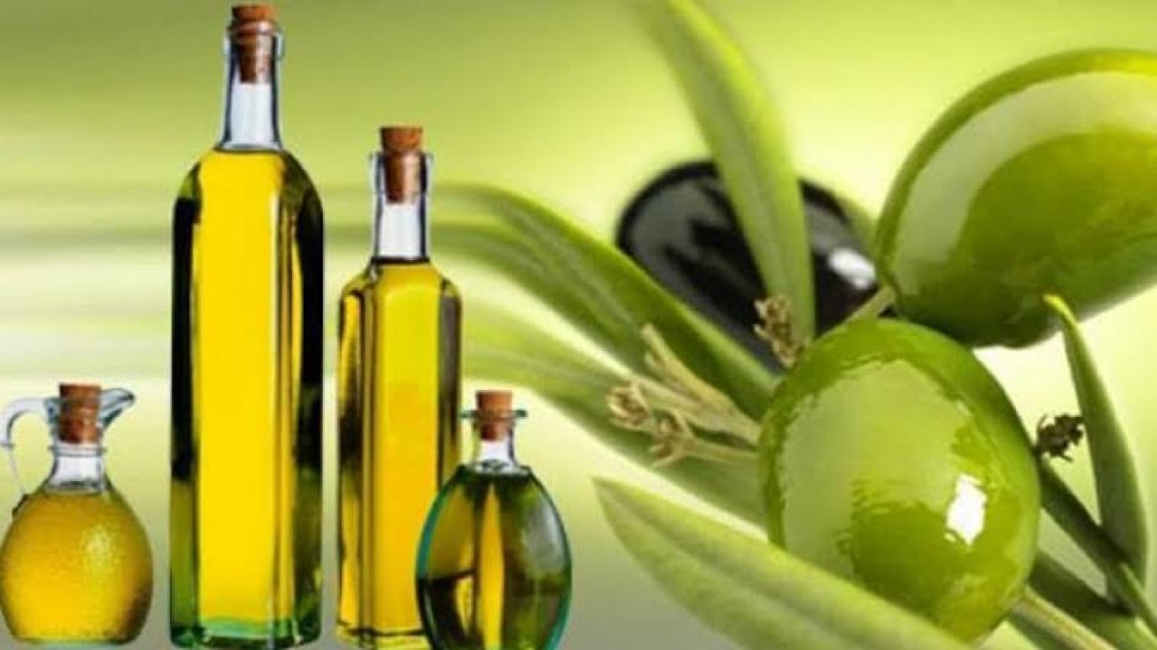 Muğla'nın En Kaliteli Zeytinyağları Açıklanıyor