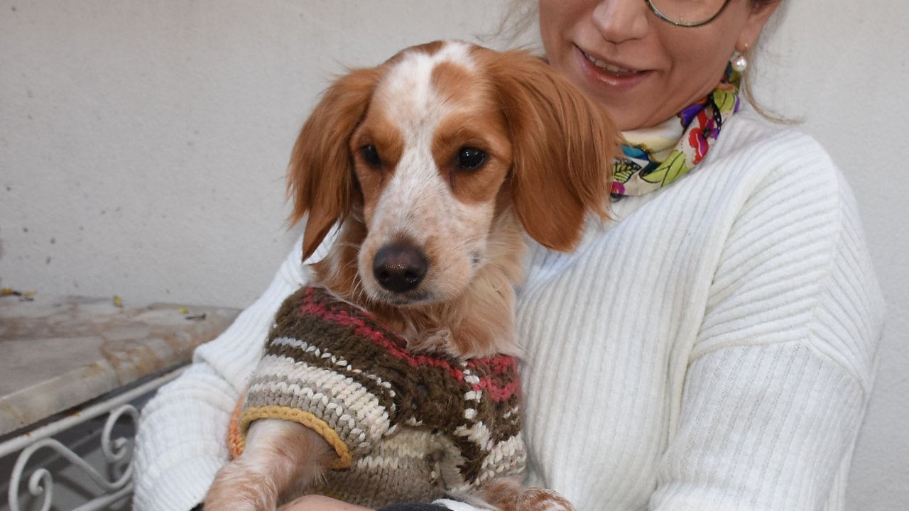 Bir Ayağını Kullanamayan 