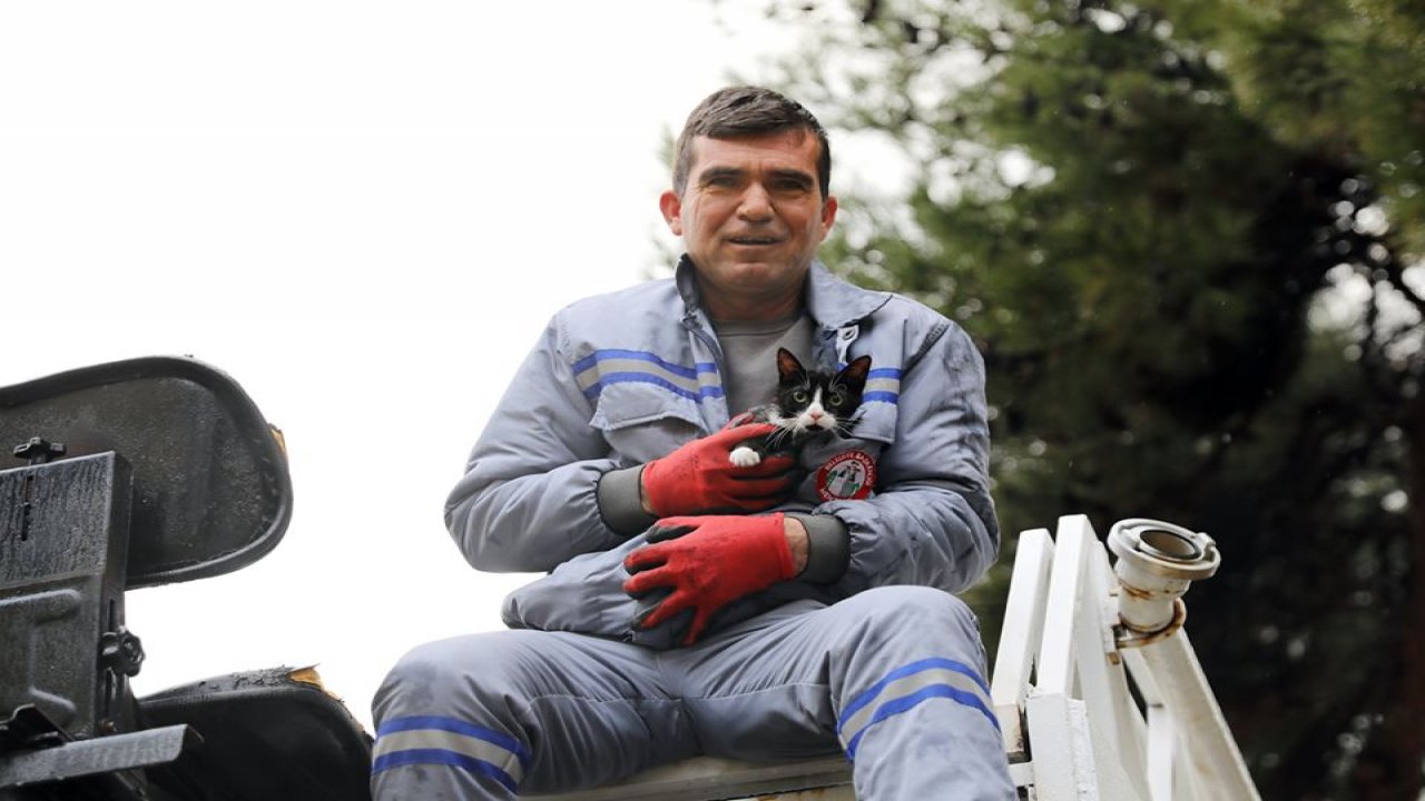 Ağaçta Mahsur Kalan Kedi Kurtarıldı