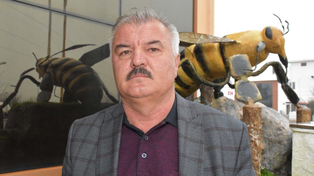 BM Gıda ve Tarım Örgütünden Türkiye'deki Çam Balı Üretimine Övgü