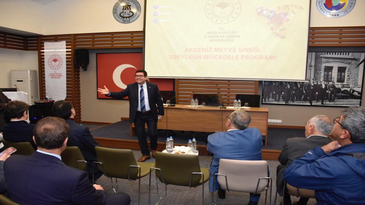 Akdeniz meyve sineği ile mücadelede yeni dönem başlıyor