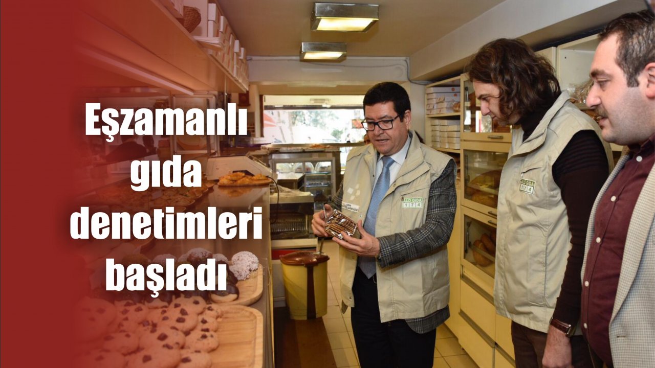 Eşzamanlı gıda denetimleri başladı