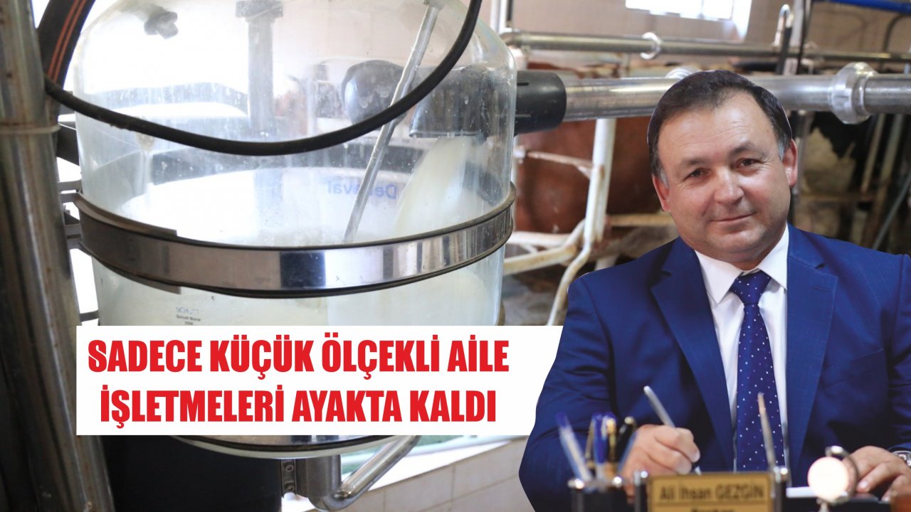 “Aile işletmelerine ve üretime destek verilmeli”