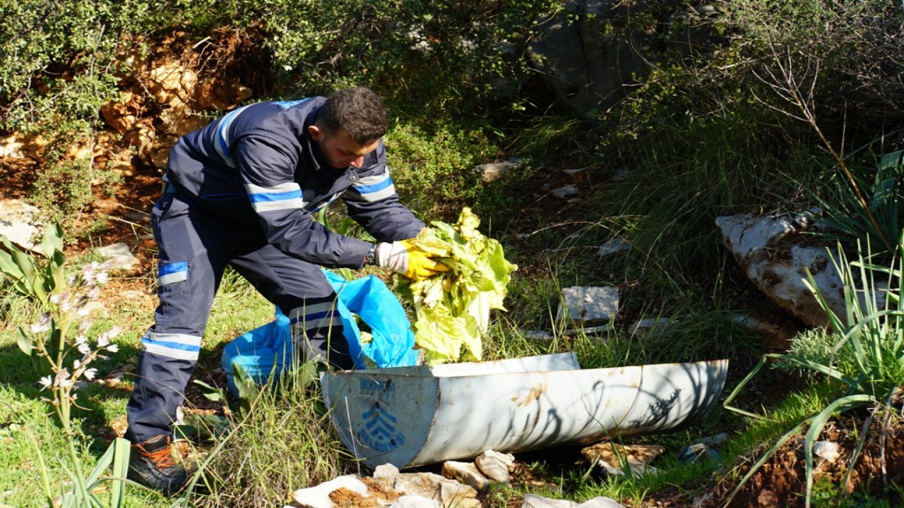 Yaban domuzları için yemlikler yerleştiriliyor