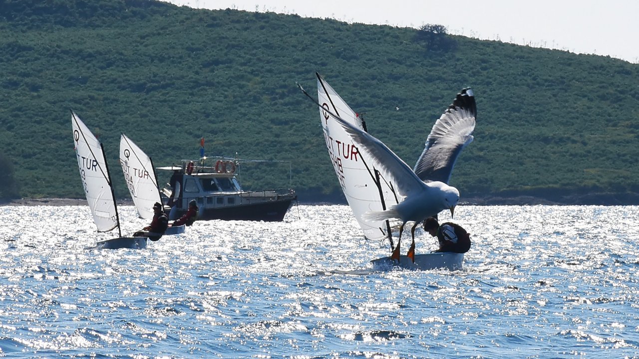 Yelken yarışlarında renkli görüntüler oluştu