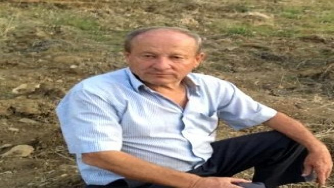 Kafasına tomruk çarpan kişi öldü