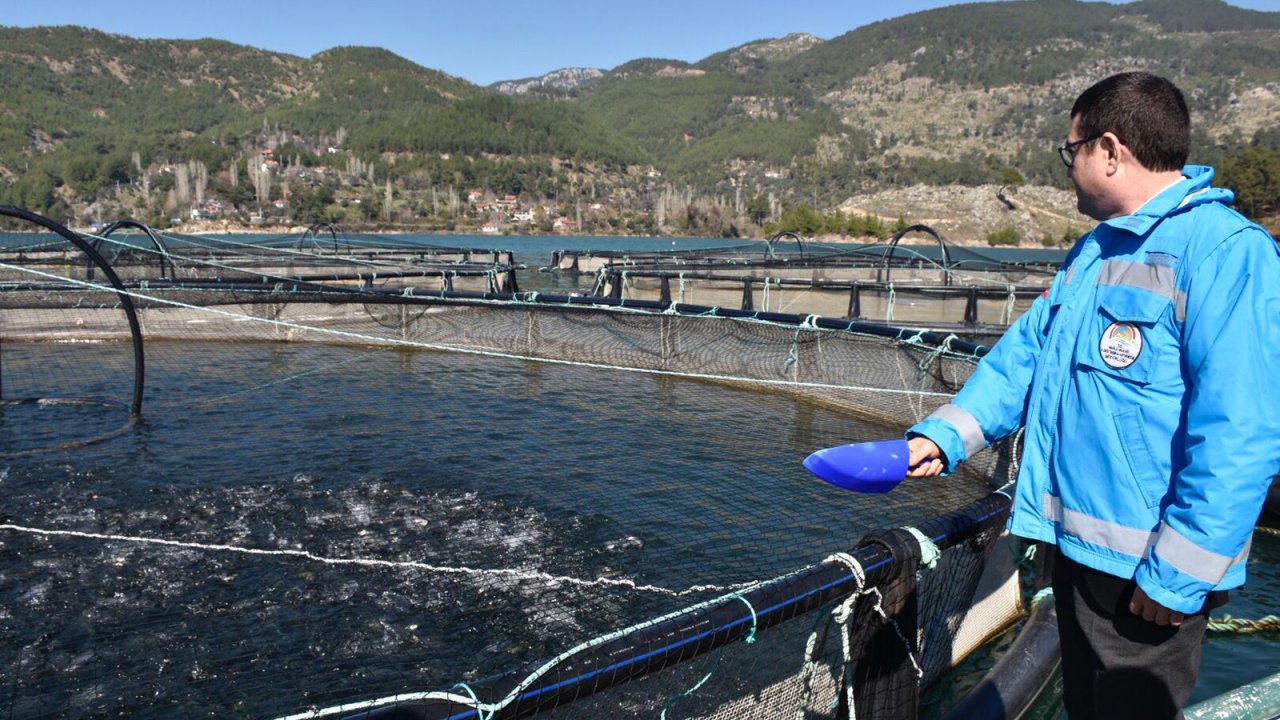 Muğla’da alabalık üretimi 21 bin tona çıktı
