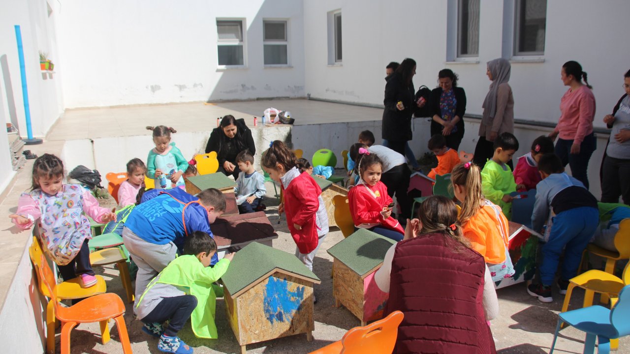 Kediler için yaptırılan kulübeleri çocuklar boyadı