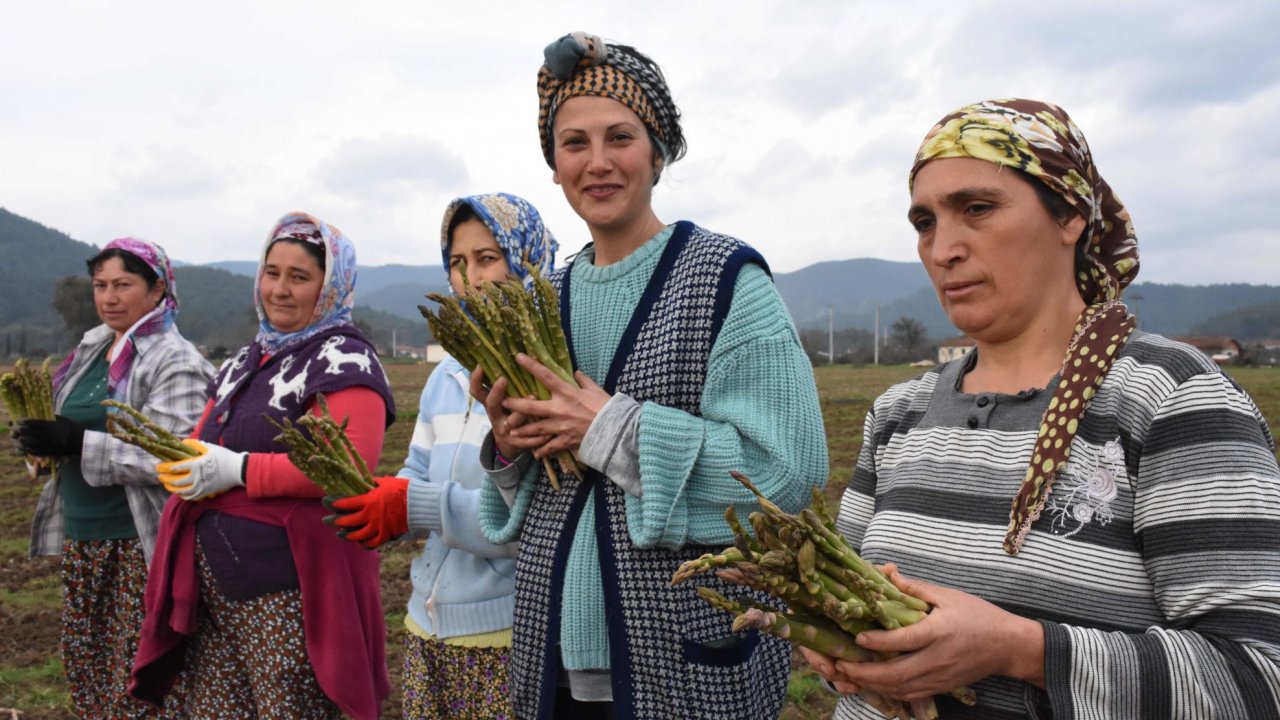 Kadın yönetici, kariyerini bırakıp kuşkonmaz üreticisi oldu