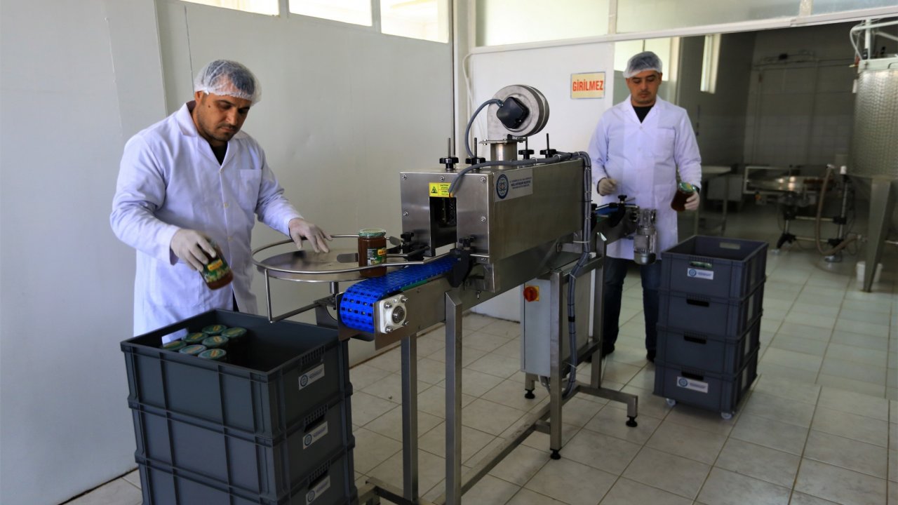 Arıcıya Destek Büyükşehirden