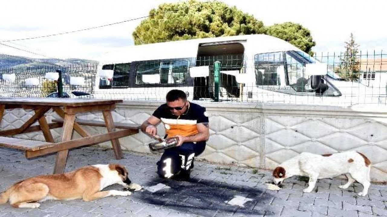 İnsan ve sokak hayvanlarına adanan bir ömür