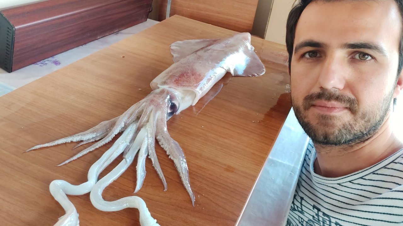 Bodrum'da amatör balıkçının oltasına kalamar takıldı