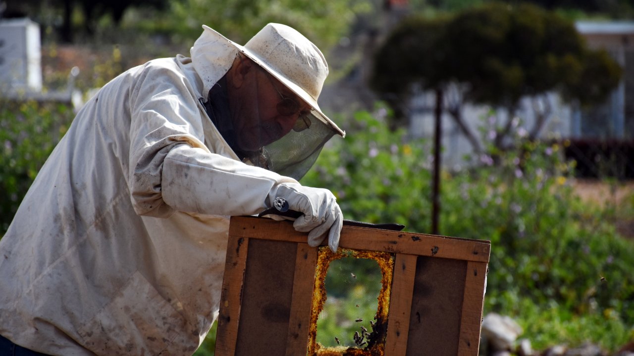 Gözünü kaybetmesinin acısını arılarının vızıltısıyla dindirdi