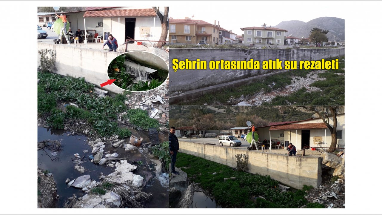 Şehrin ortasında atık su rezaleti