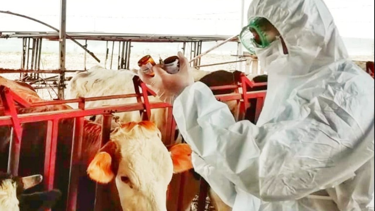 Muğla’da aşılama çalışmaları devam ediyor