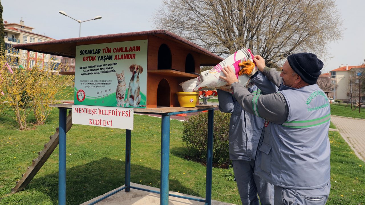 Menteşe Belediyesi sokak hayvanlarını unutmadı