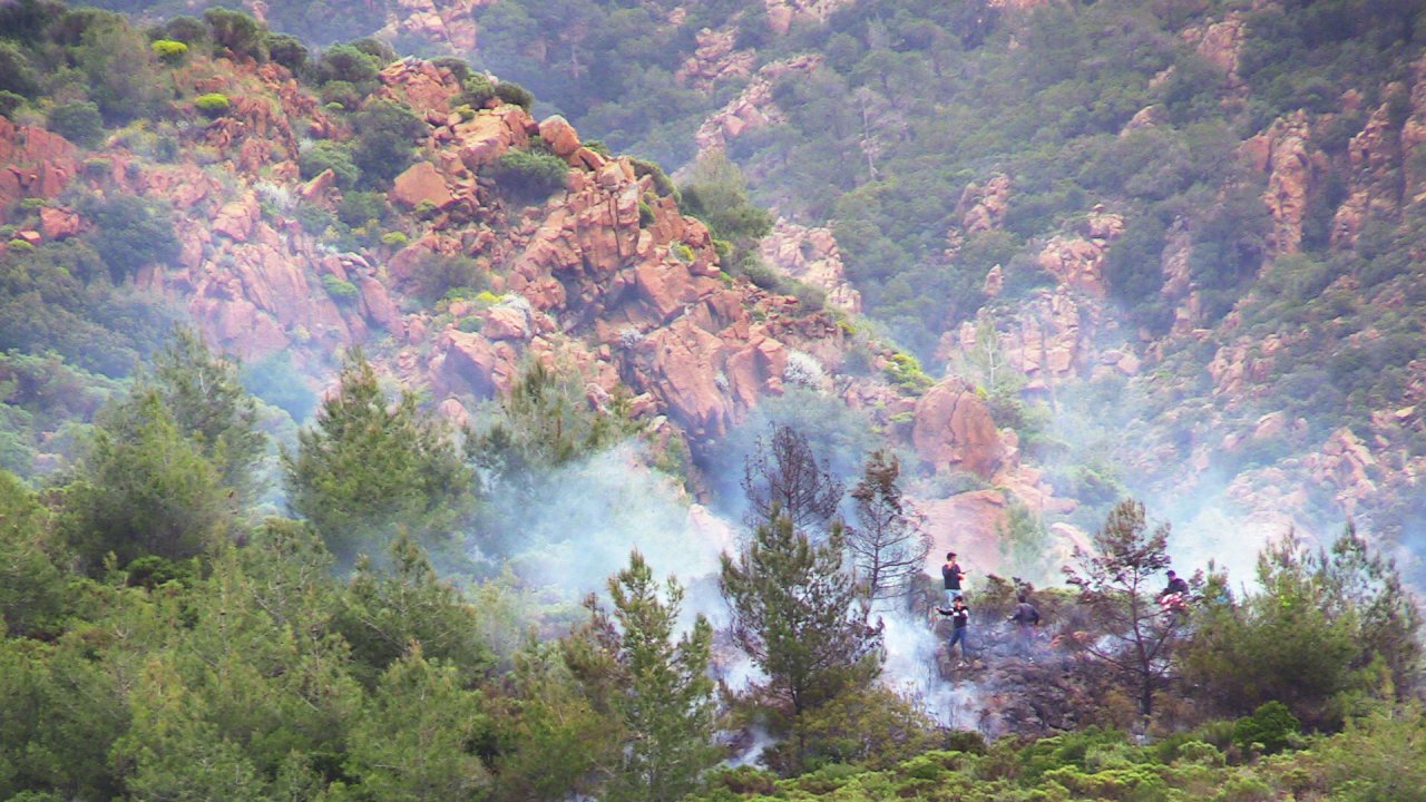 Orman yangını söndürüldü