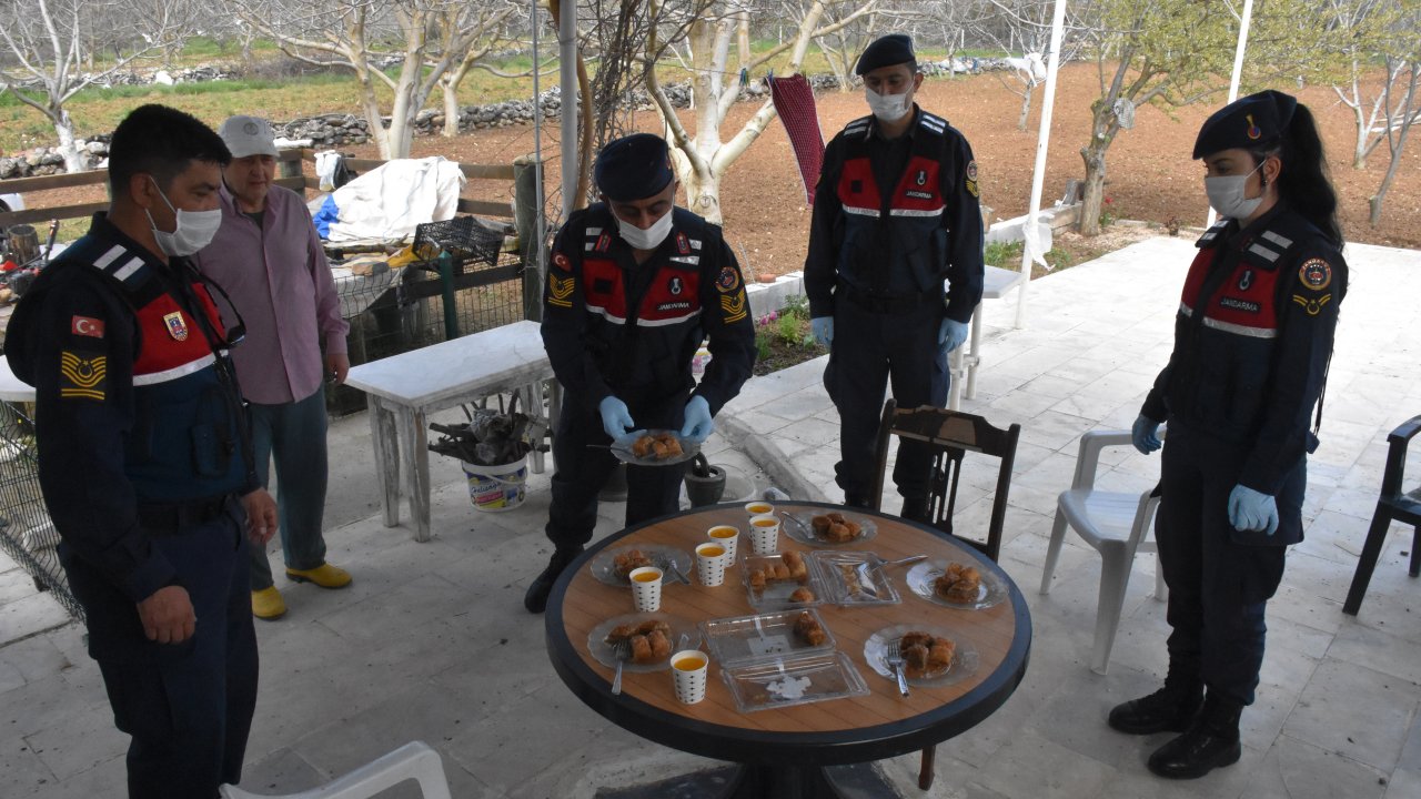 Bahçe temizliği bahanesiyle çağırdığı jandarmaya 