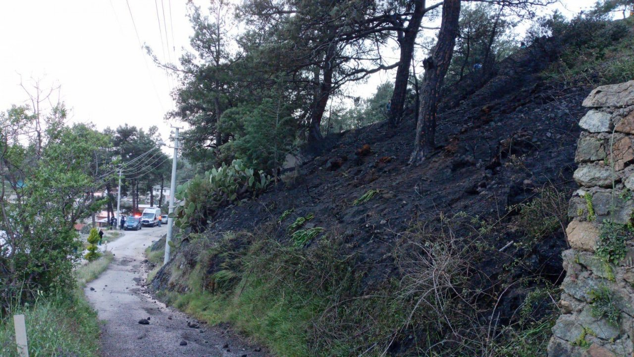 Muğla'da 2 dönüm orman ve 25 dönüm sazlık alan yandı
