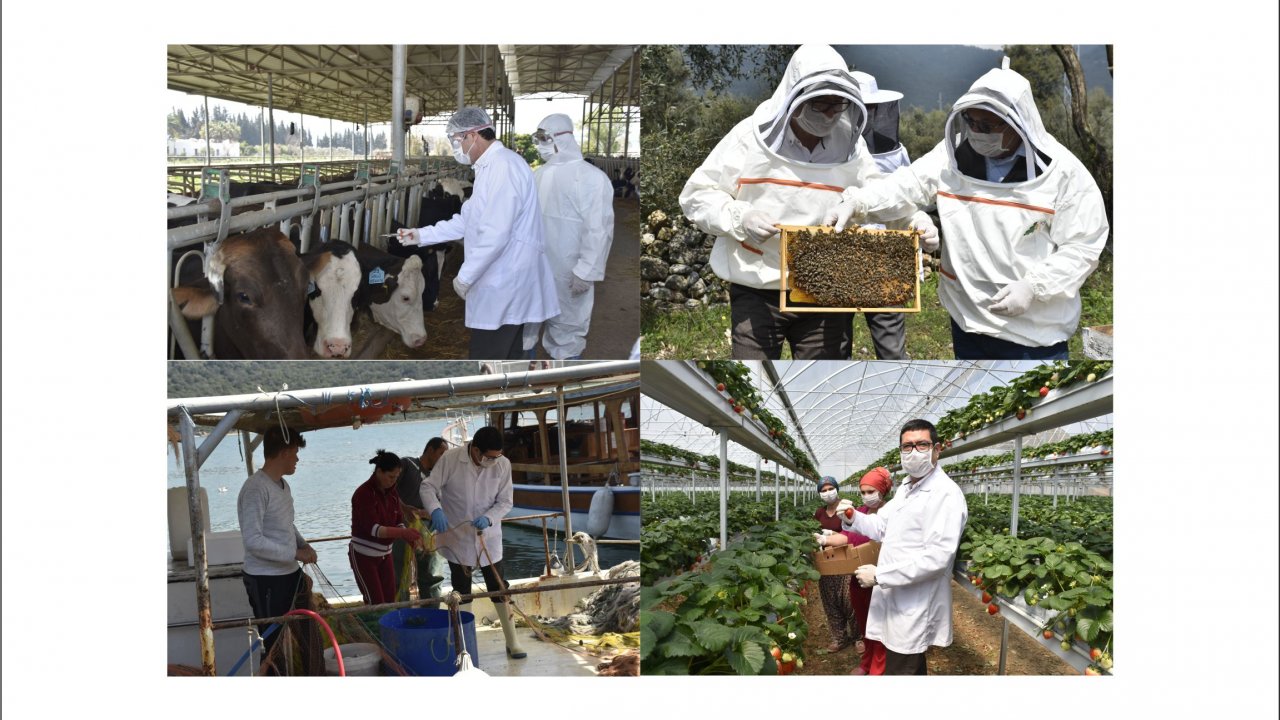 Saylak: “Tüketiciye sağlıklı gıda ulaşmasını sağladık”