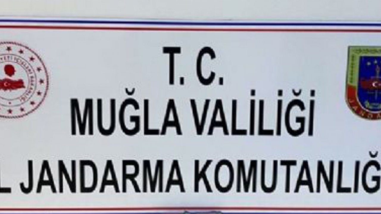 290 adet sikke ve madeni obje ele geçirildi