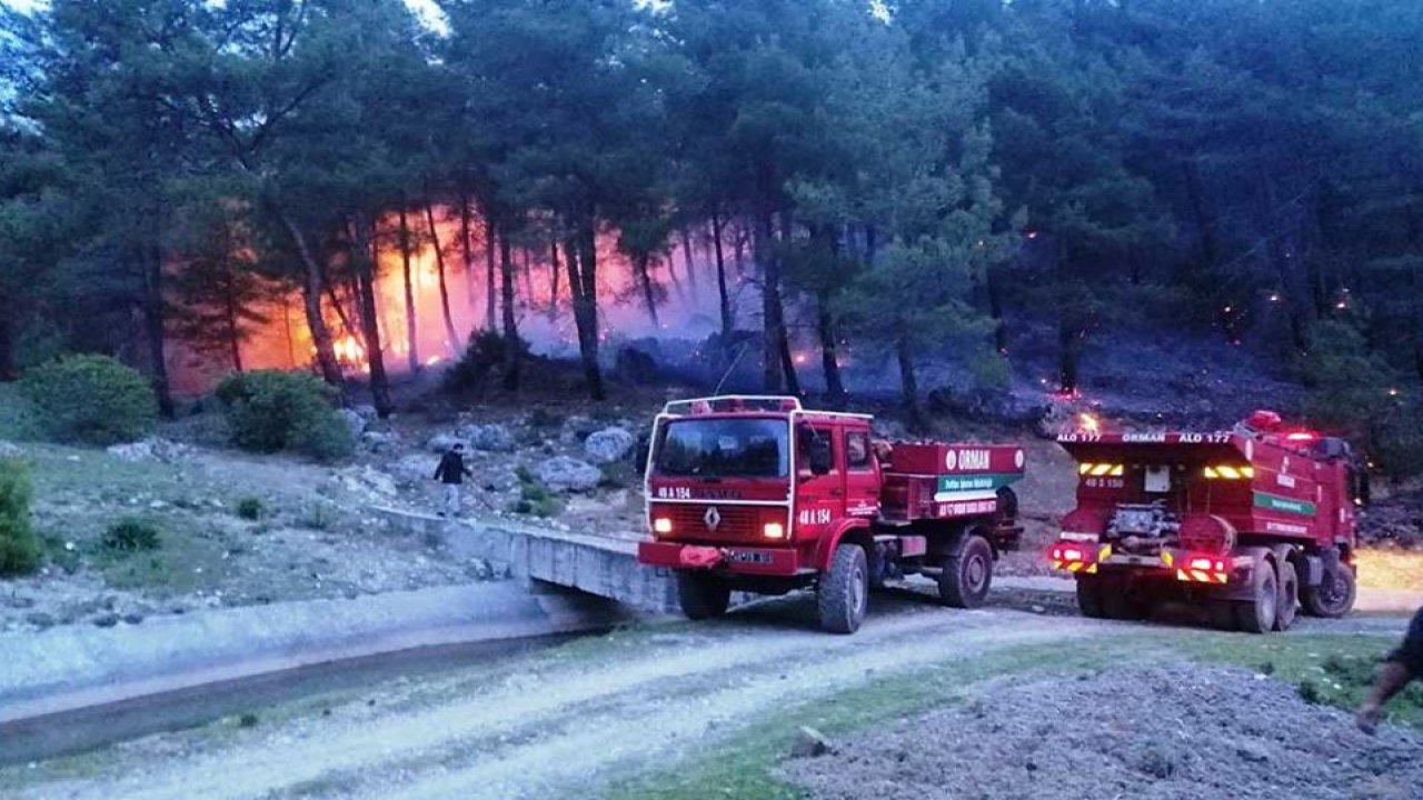 Muğla’da 33 orman yangını çıktı