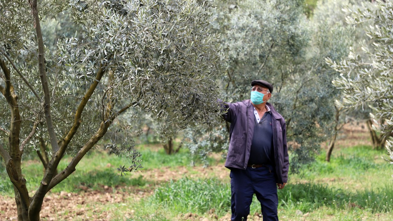 Büyükşehir, çiftçinin yanında