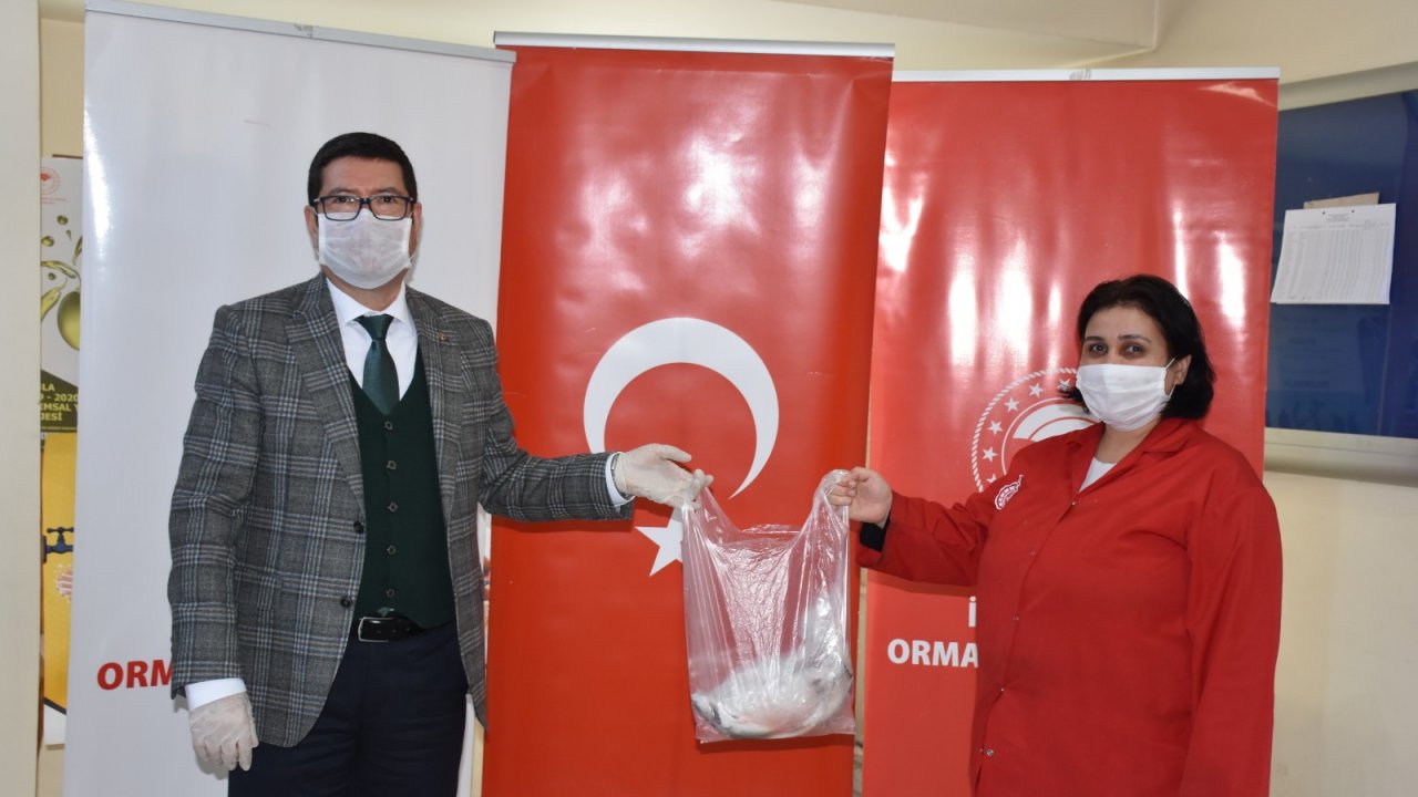 Saylak’tan Omega-3 desteği