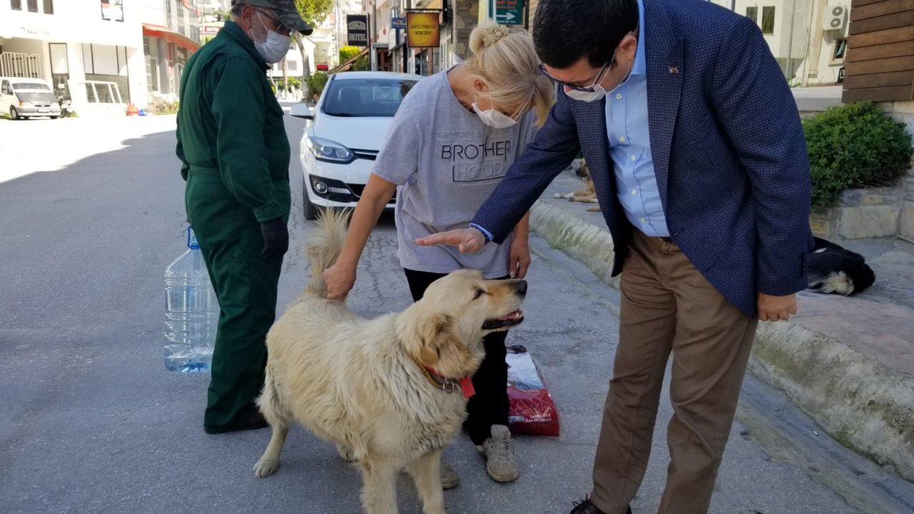 Sokağa çıkma yasağında sokak hayvanlarını unutmadılar