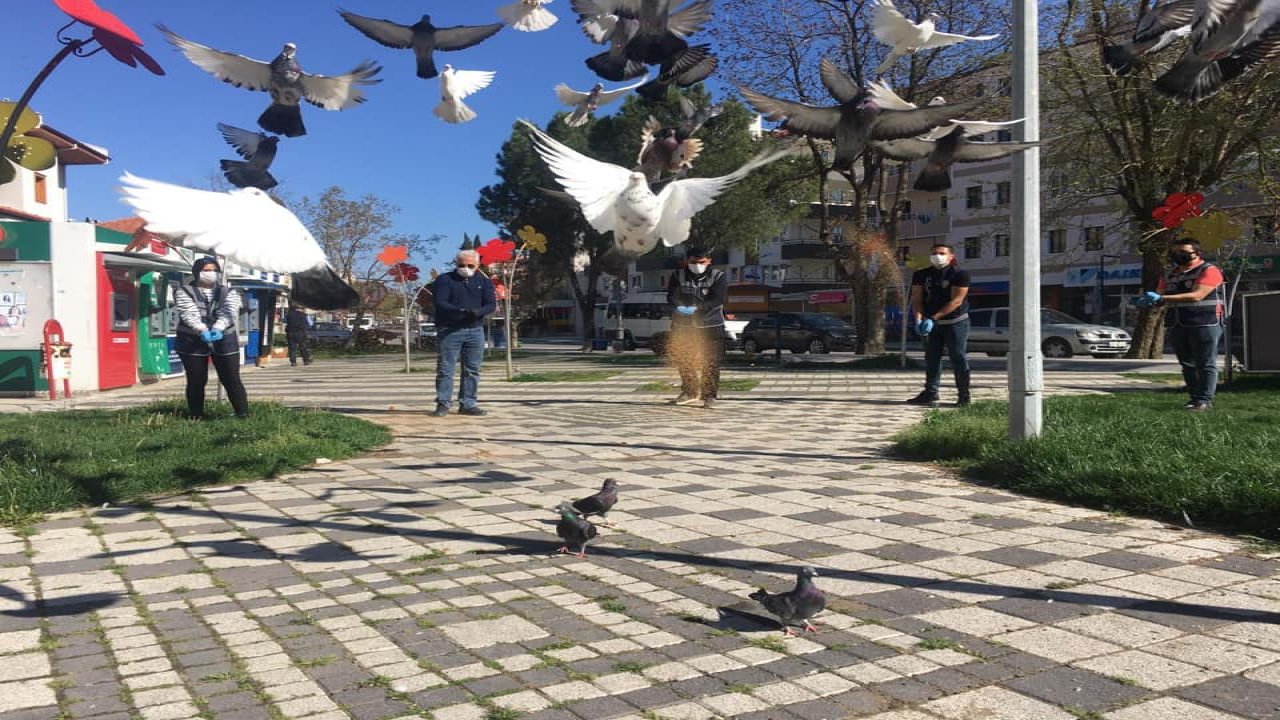 Muğla'da Vefa Destek Grubu sokak hayvanlarını da unutmadı