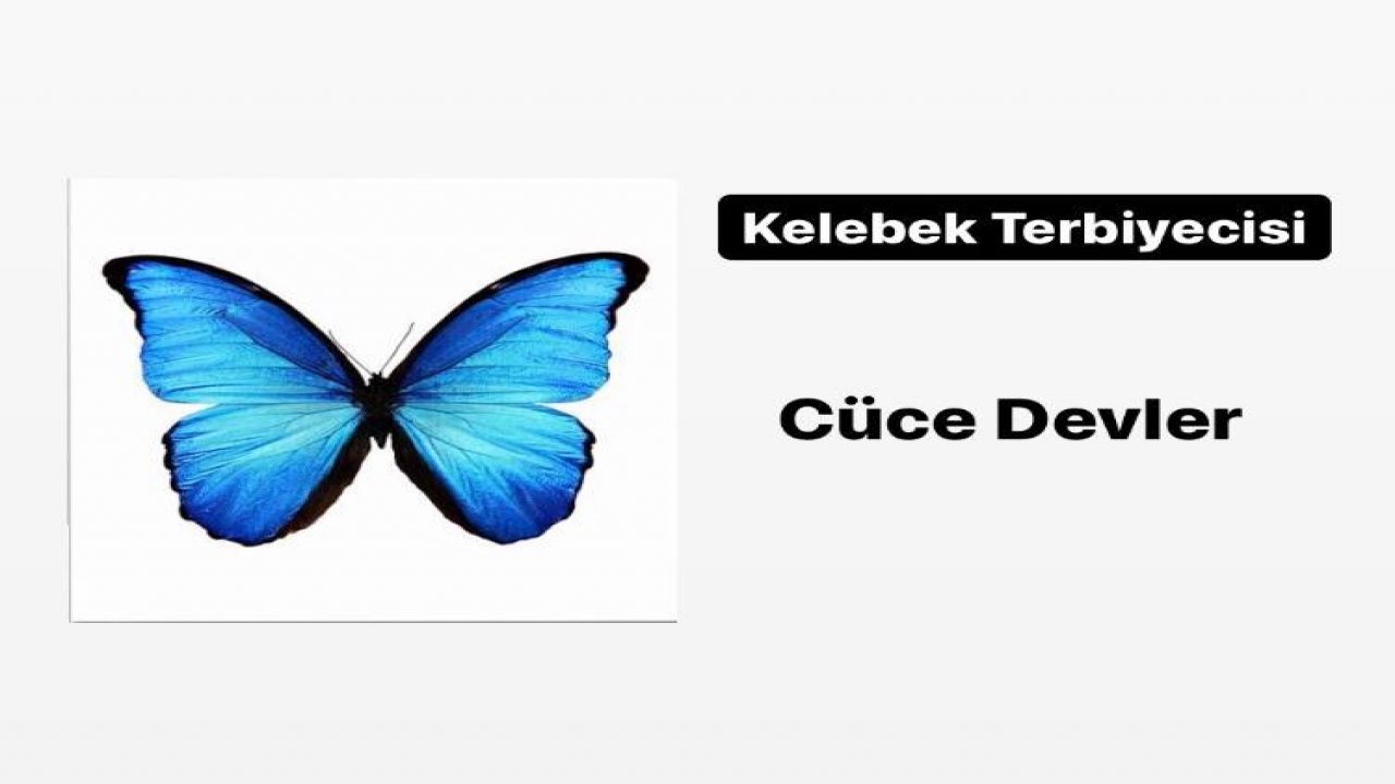 CÜCE DEVLER