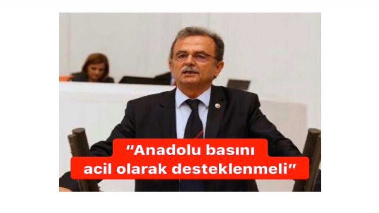 “Anadolu basını acil olarak desteklenmeli”