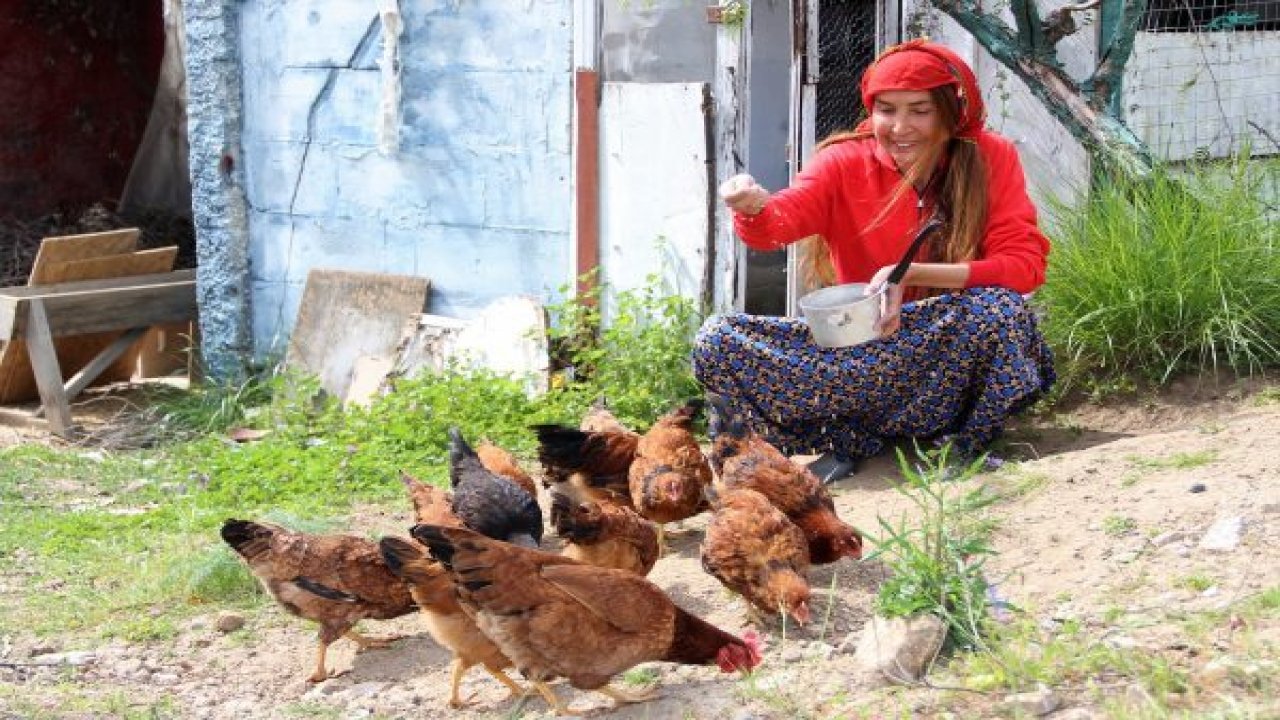 Podyumların yıldızıydı şimdi koyun otlatıp tavuk besliyor