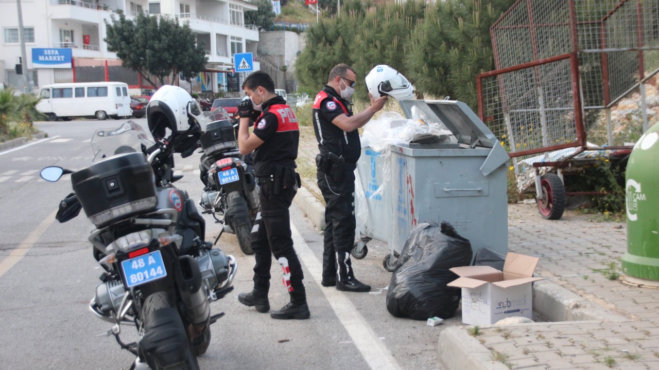 Bodrum'da küçükbaş hayvan sürüsüne saldırdığı iddia edilen köpek vuruldu