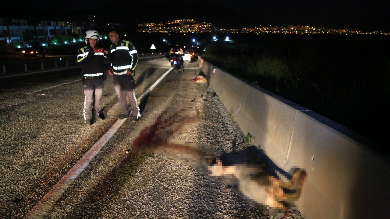 Otomobil koyun sürüsüne çarptı