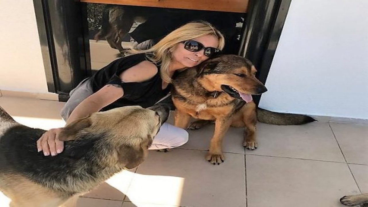 Havlayan köpeği levyeyle dövdü