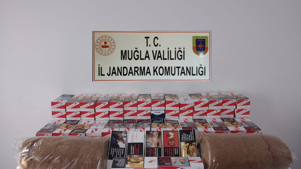 Bodrum’da kaçakçılara operasyon