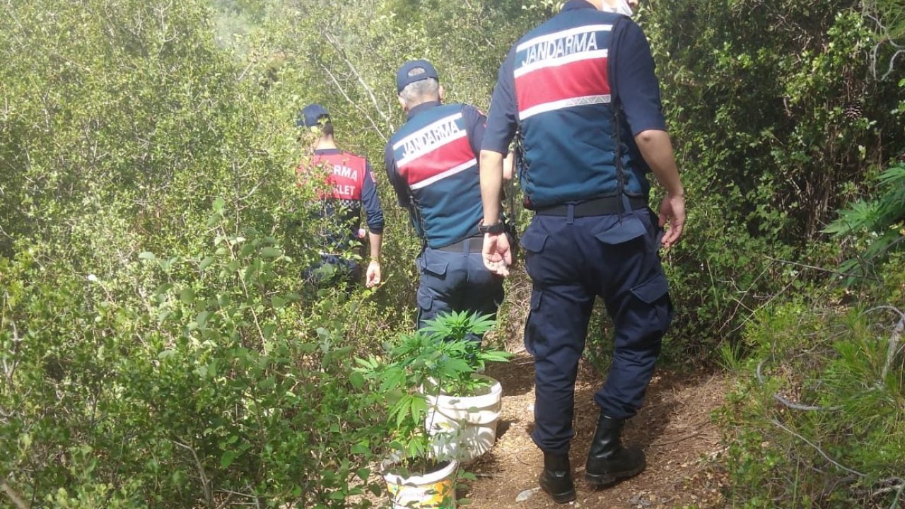 Uyuşturucu imalatı yapan iki kişi gözaltına alındı