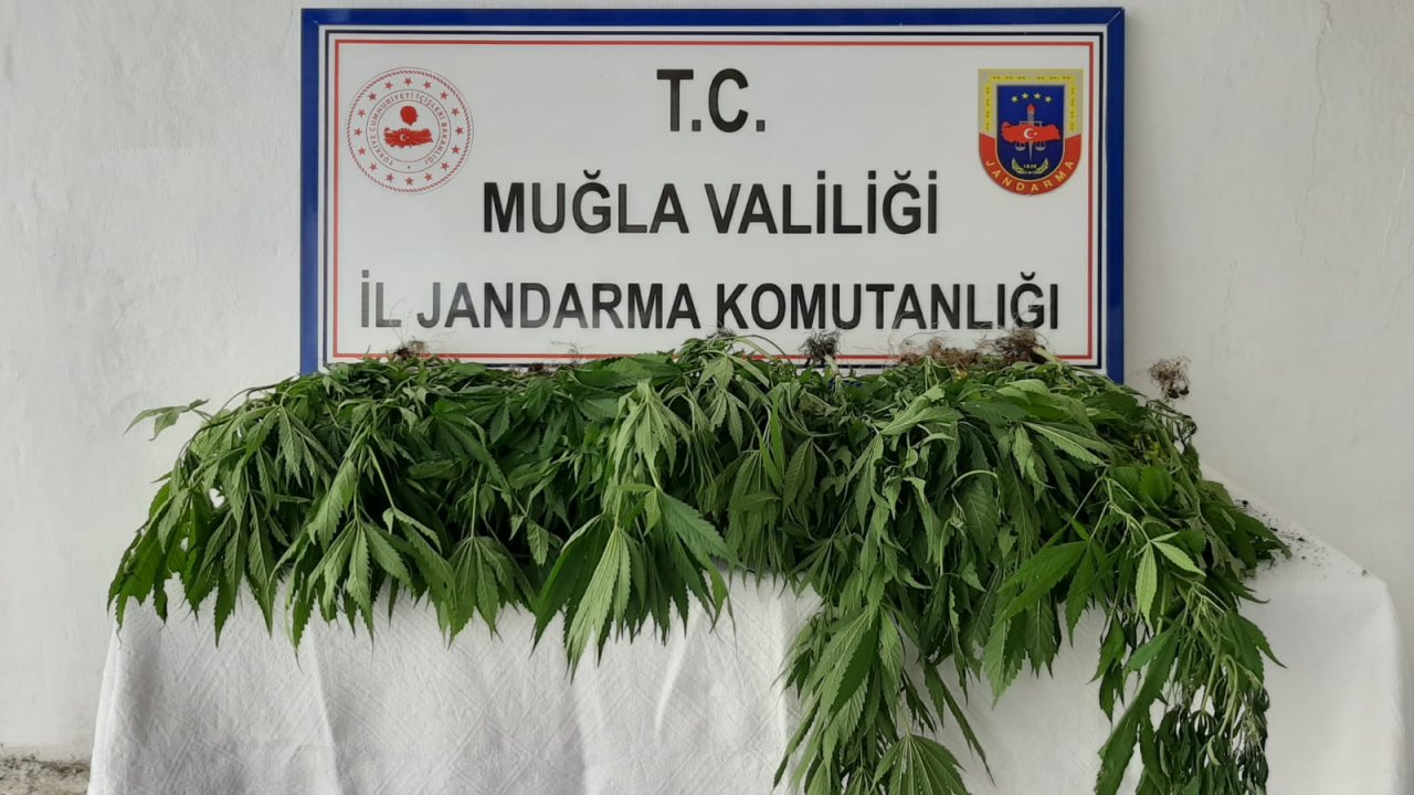 Ortaca’da uyuşturucu operasyonu