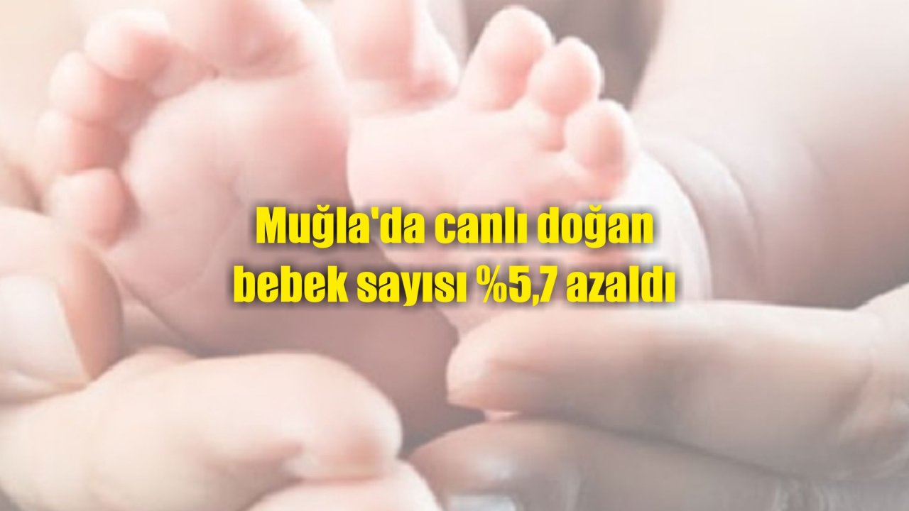 Muğla’da canlı doğan bebek sayısı %5,7 azaldı