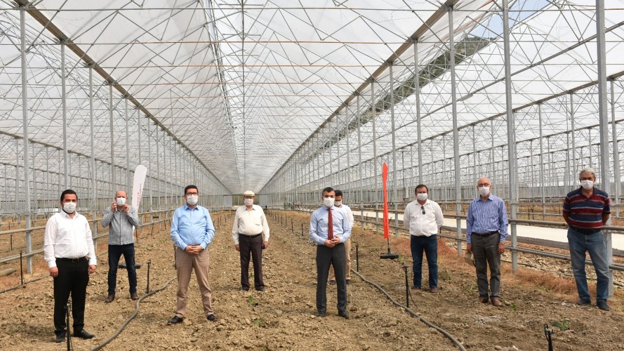 İlk muz fidanı dikildi