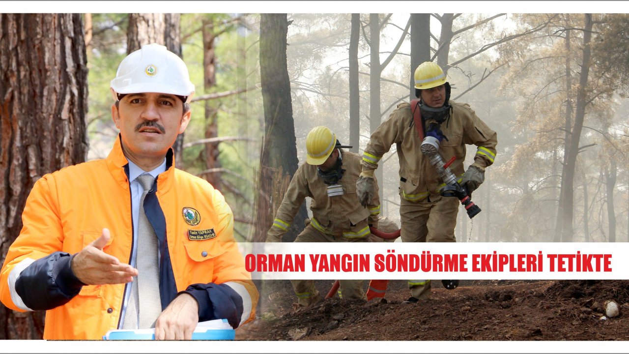 Orman yangın söndürme ekipleri tetikte