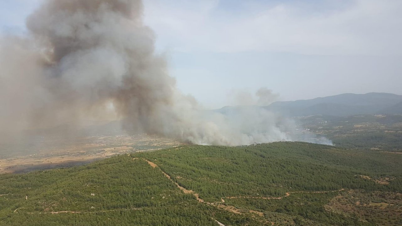 Milas’ta orman yangını