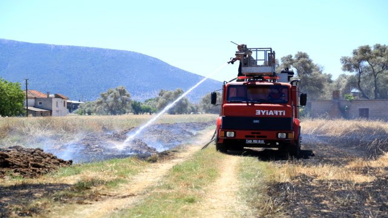 Muğla’da çıkan yangında 60 dönüm buğday ve arpa tarlası zarar gördü