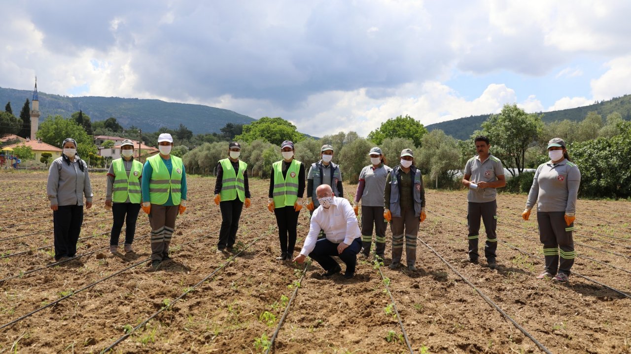 Menteşe Belediyesi’nden örnek proje