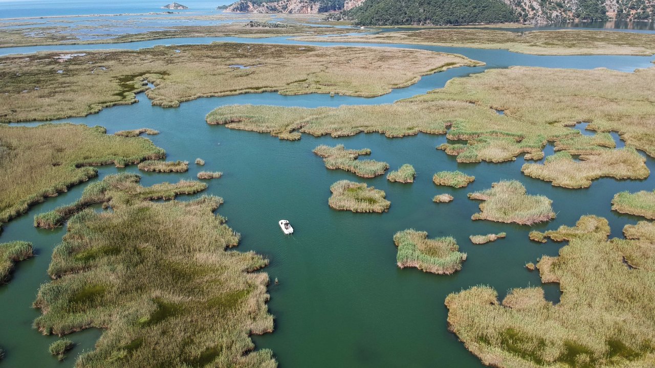 Labirent görünümlü Dalyan sazlıkları yine turistlerin gözdesi olacak
